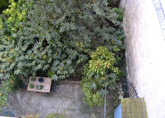 Central hotel: Nouvel Hotel