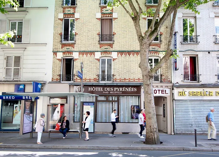 Huisdiervriendelijk hotel: Hotel Des Pyrenees